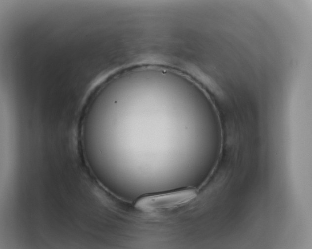 X0000111651264200907241124