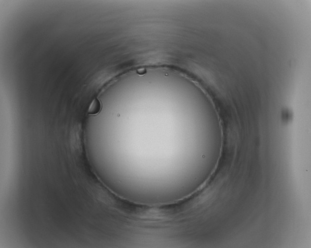 X0000111651265200907241124