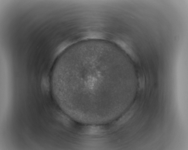 X0000111651266200907241124