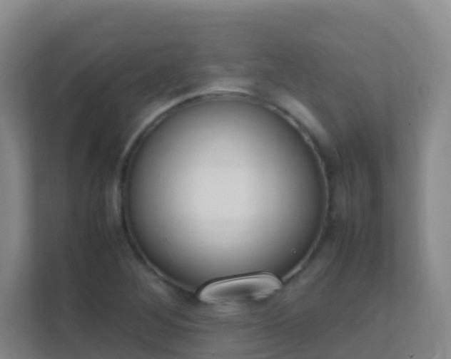 X0000111651268200907241124