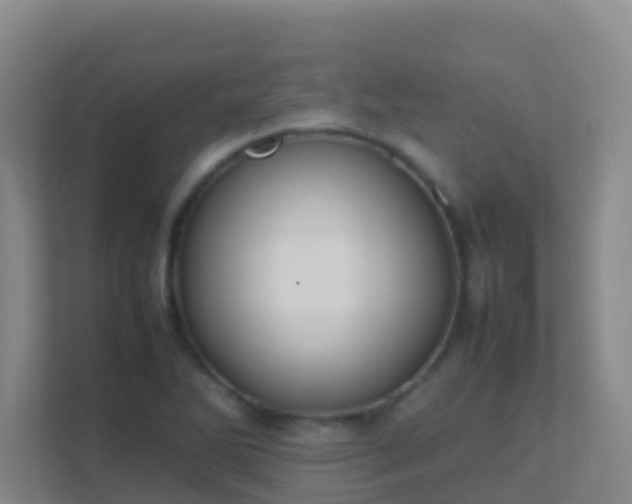 X0000111651270200907241124