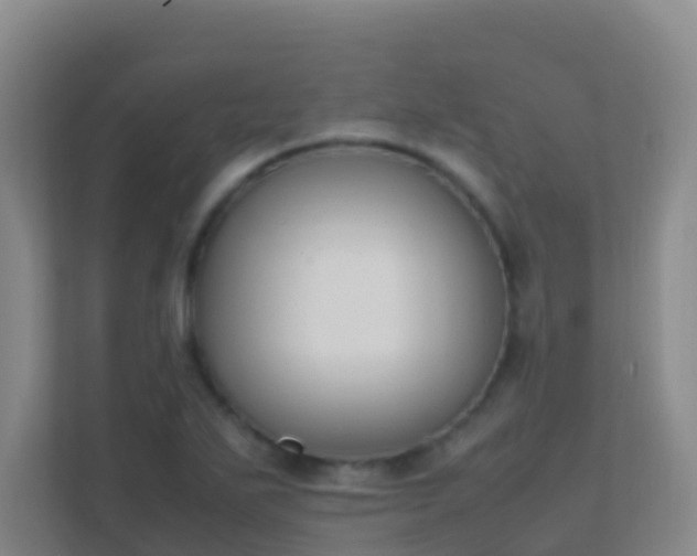X0000111651271200907241124