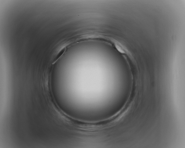 X0000111651273200907241124