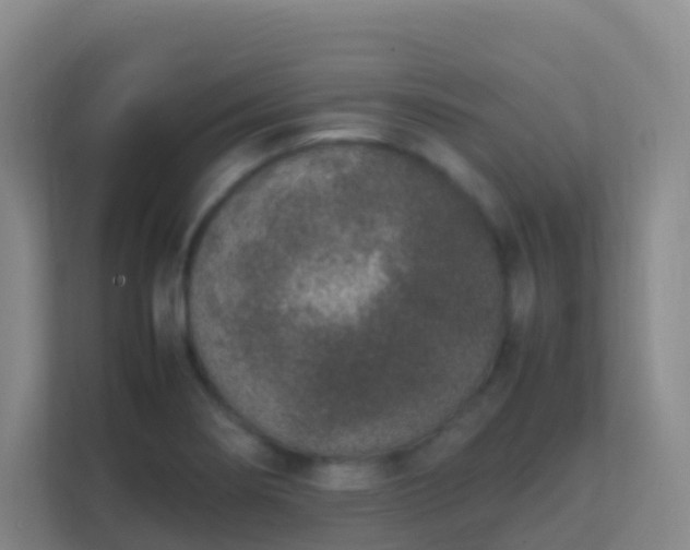 X0000111651274200907241124