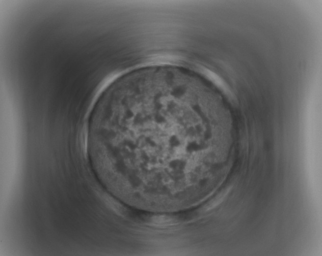 X0000111651275200907241124
