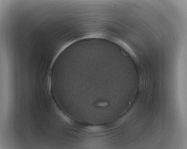 X0000111651276200907241124