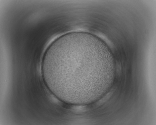 X0000111651278200907241124