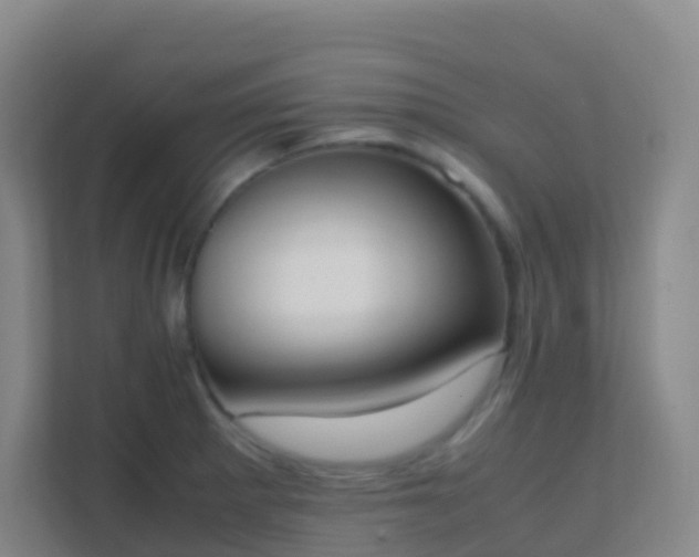 X0000111651281200907241124