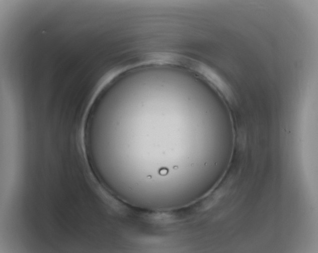X0000111651283200907241124