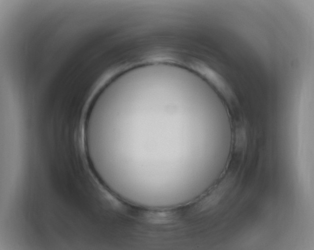 X0000111651286200907241124