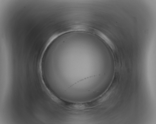 X0000111651291200907241124