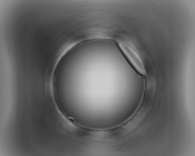 X0000111651293200907241124