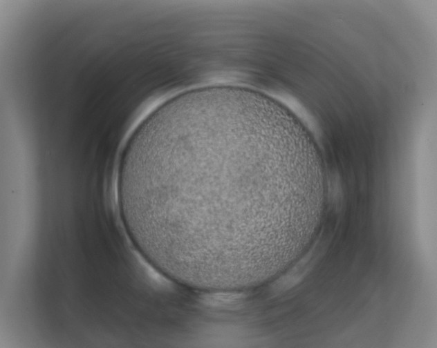 X0000111651294200907241124