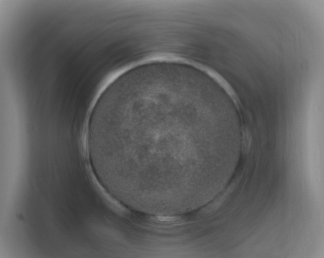 X0000111651295200907241124