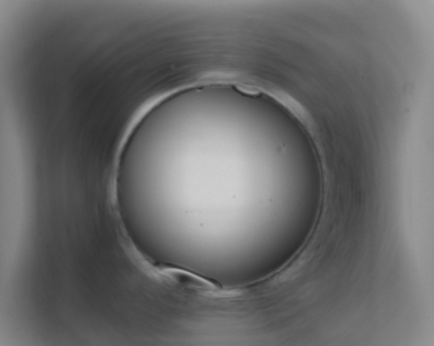 X0000111651296200907241124