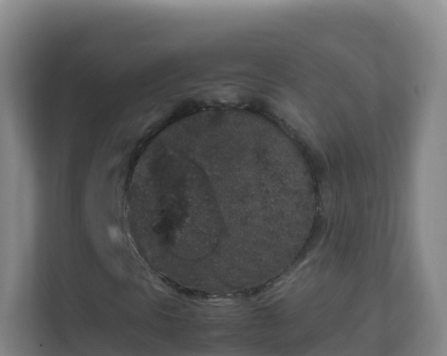 X0000111651297200907241123