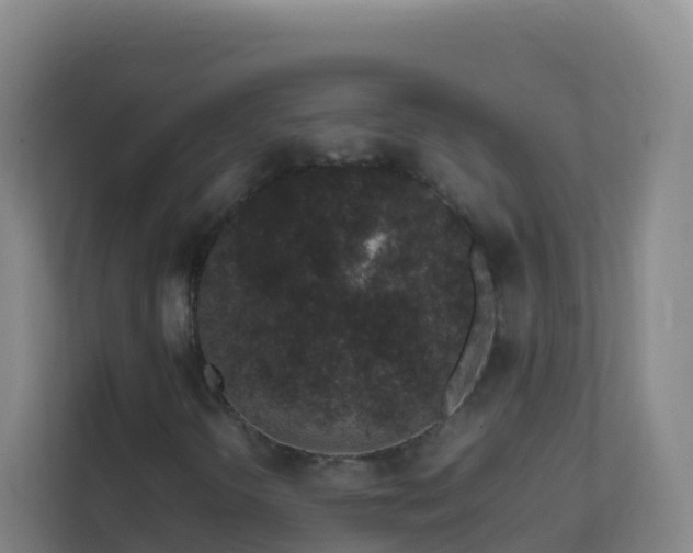 X0000111651298200907241123