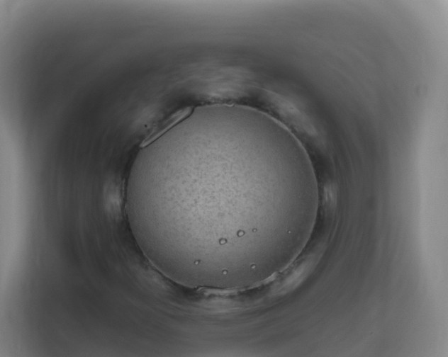 X0000111651300200907241123