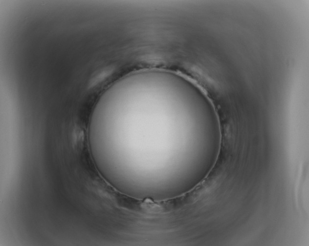 X0000111651302200907241123