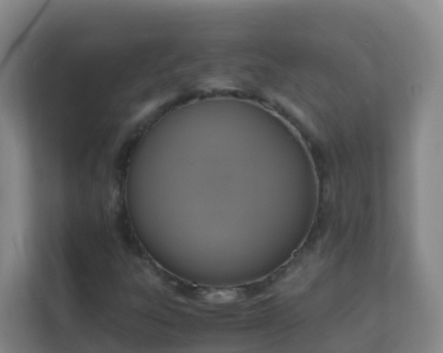 X0000111651303200907241123