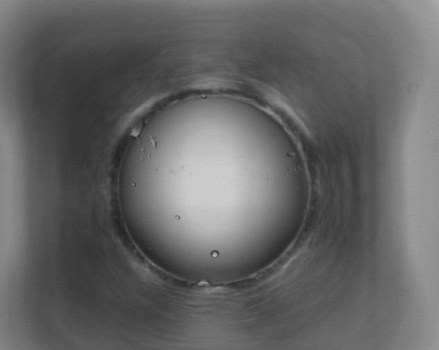 X0000111651304200907241123
