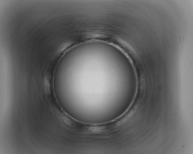 X0000111651305200907241123