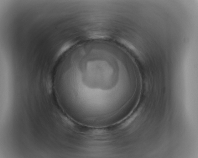 X0000111651306200907241123