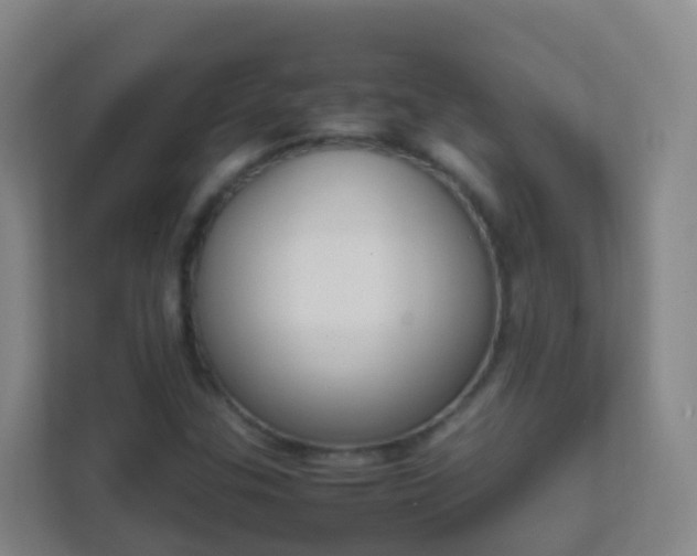 X0000111651307200907241123