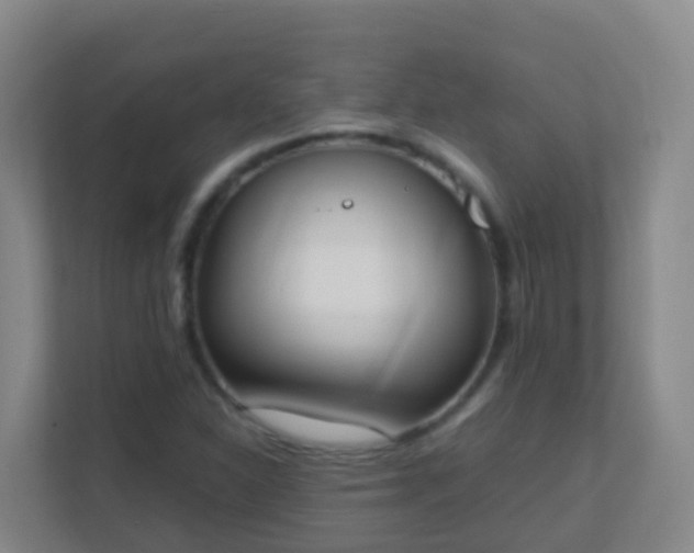 X0000111651310200907241123