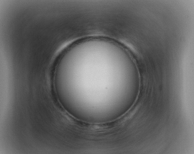 X0000111651311200907241123