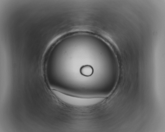 X0000111651312200907241123