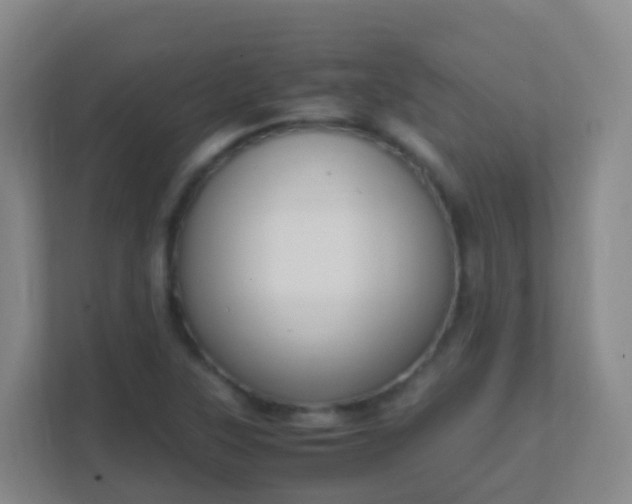 X0000111651315200907241123