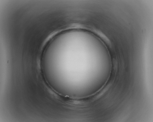 X0000111651318200907241123