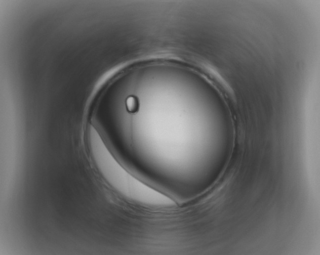 X0000111651320200907241123