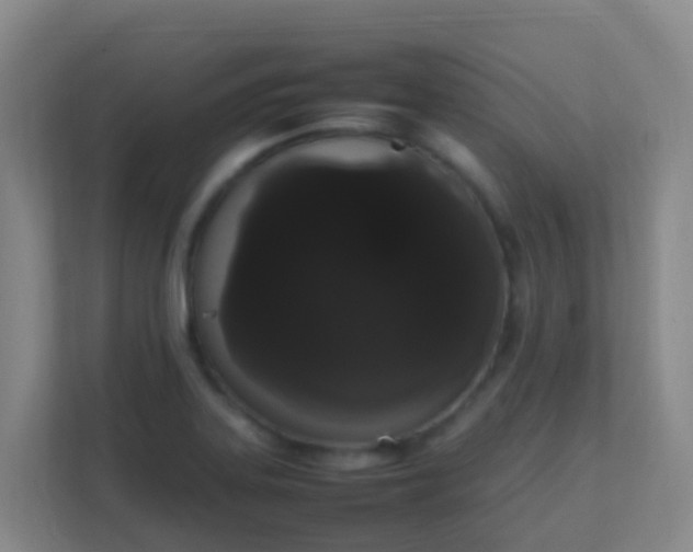 X0000111651323200907241123