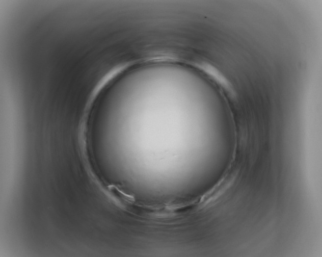X0000111651325200907241123