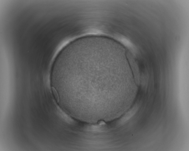 X0000111651326200907241123