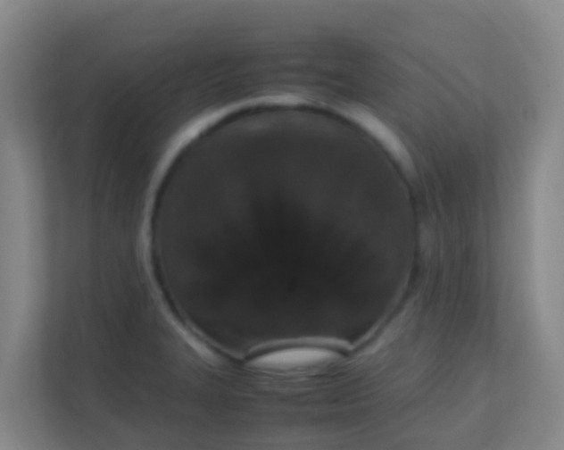 X0000111651327200907241123