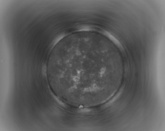 X0000111651329200907241123