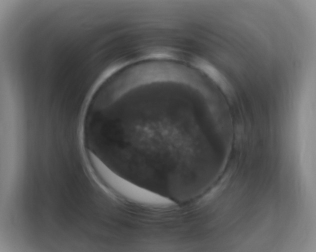 X0000111651331200907241123