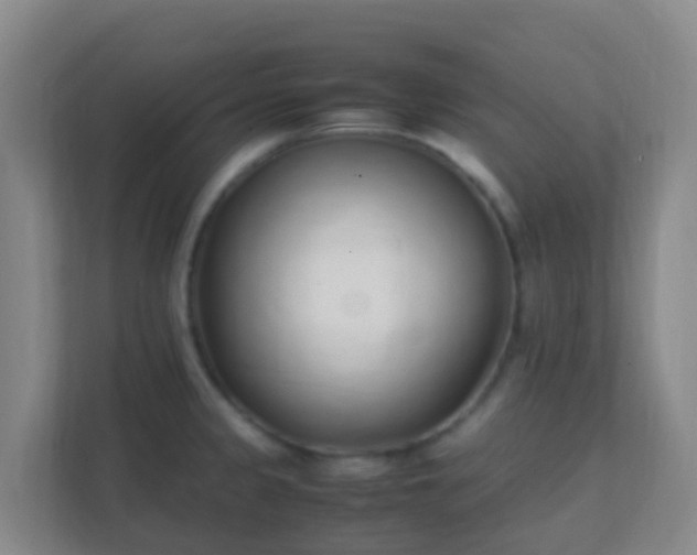 X0000111651333200907241123
