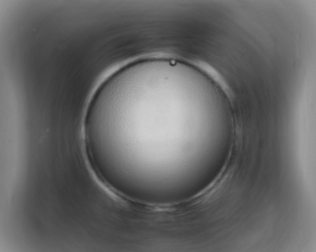 X0000111651335200907241123