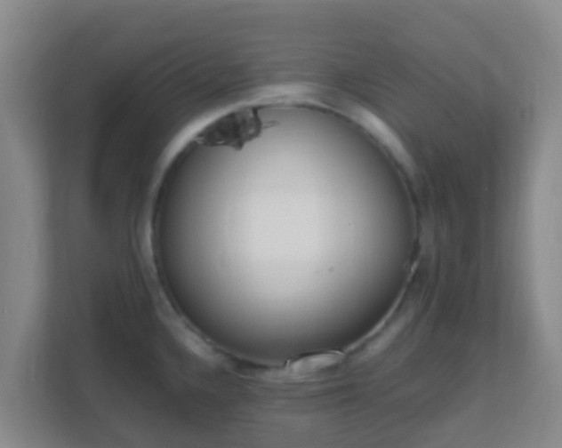X0000111651336200907241124