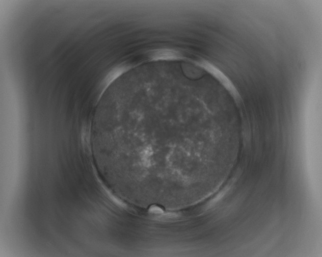 X0000111651337200907241124
