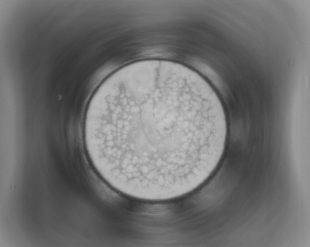 X0000111651338200907241124