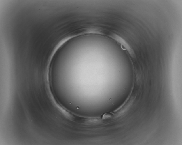 X0000111651339200907241124
