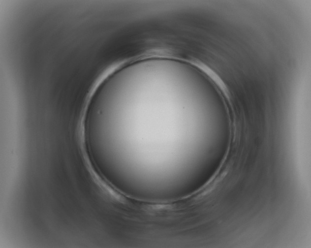 X0000111651341200907241124