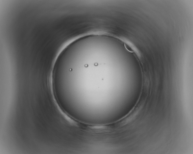 X0000111651343200907241124