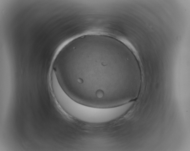 X0000111651344200907241124