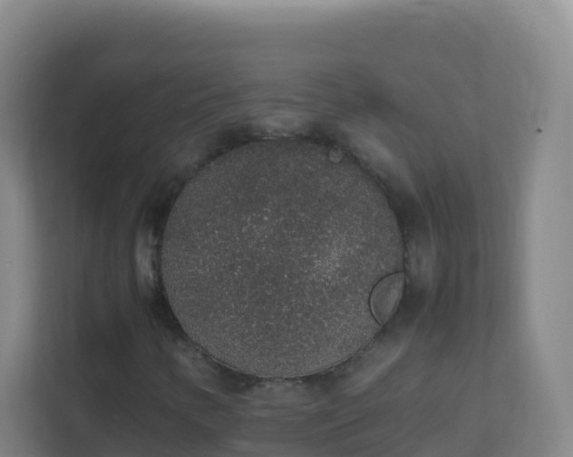 X0000111651346200907241123